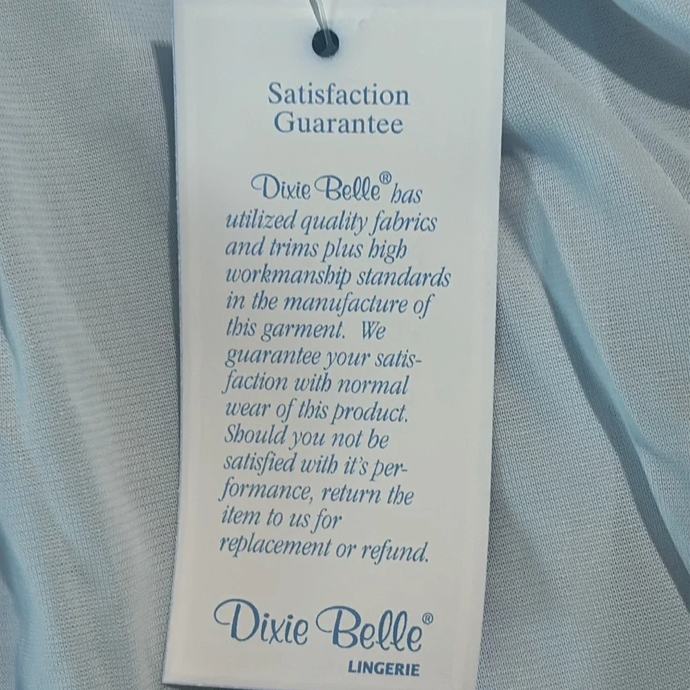 Dixie Belle Women’s Classic Nylon Briefs Panties Powder Light Blue Size 10